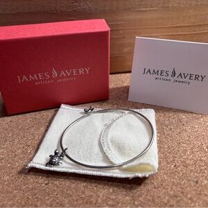 James Avery Sterling Bangle with Retired Turtle Charm Set